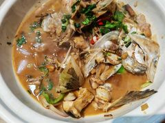 -小小饭店·休闲农庄·安吉松树林里的农家菜