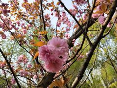 -山明水秀大饭店