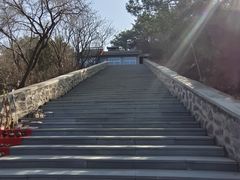 -磬锤峰森林公园
