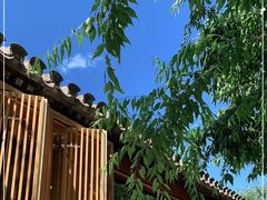 -春风习习