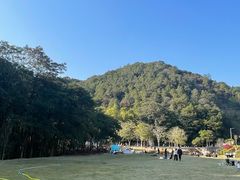 -黄埔油麻山森林公园
