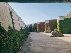 -敦煌石窟文物保护研究陈列中心