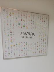 -安那般那皮肤年轻化ANAPANA