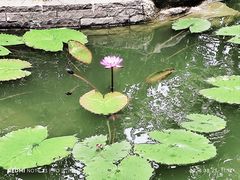 -云溪植物园