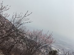 -北京凤凰岭