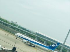 -全日本空输株式会社(上海办事处)