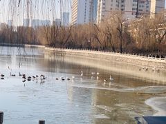 -迎泽公园