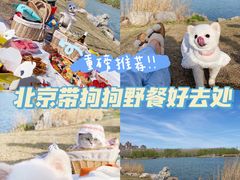 -马家湾湿地公园