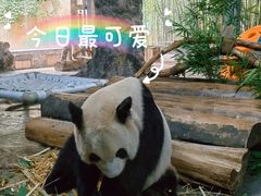 -海南热带野生动植物园