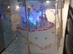 -维尔纳斯·生日蛋糕·动物奶油冰淇淋蛋糕(六里桥店)