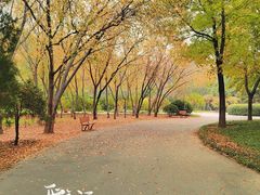 -将府公园