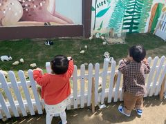 -太阳岛度假酒店