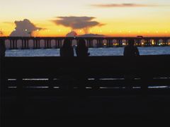 -宝安西湾红树林湿地公园