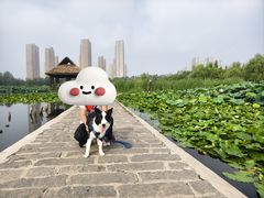 -前关湿地公园