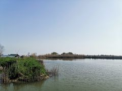 -半天妖烤鱼(方庄店)