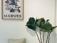 -收获咖啡HARVEST RESERVE(苍山店)