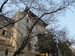 -武汉大学-樱园