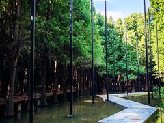 -捞渔河湿地公园