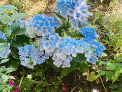 -小仙居·农家宴烤羊· 农庄