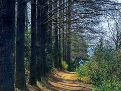 -达蓬山旅游度假区