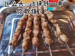 烤羊肉串-途肴·老农饭庄(百里峡店)