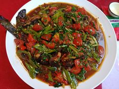 -生态苑农庄(十里画廊遇龙河店)