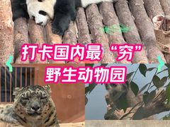 -青藏高原野生动物园