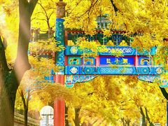 -南锣鼓巷