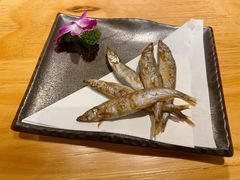 -深蓝金枪·深海鱼刺身(吉大店)