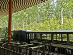 -秦皇岛野生动物园