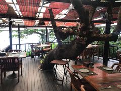 -卷心菜和避孕套餐厅(Pattaya)