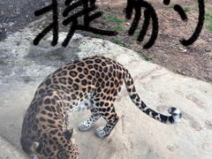 -杭州野生动物世界