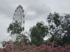-观澜湖生态运动公社