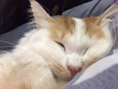 -泰妃堂.泰菜.夜宵(赤岗总店)