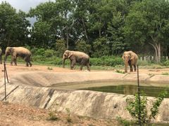 -清迈夜间动物园