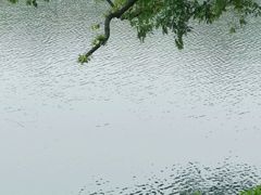-东山湖公园
