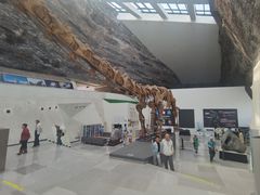 -中华赏石园