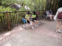 -九龙公园