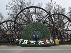 -呀路古热带植物园