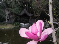 -深圳国际园林花卉博览园