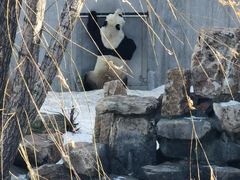 -沈阳森林动物园