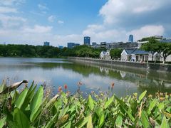 -黄埔古港