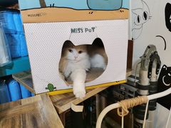 -小时光咖啡馆(开森度假森林店)