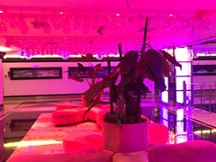 -东方之珠KTV娱乐超市(河北店)