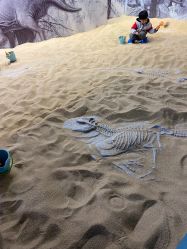 -恐龙探索乐园(磁器口店)