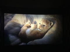 -海盛博地国际影城