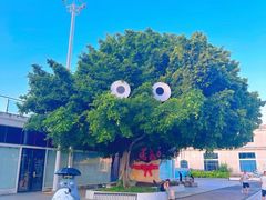 -巨鹏飞梦幻海岸