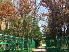 -浦明师范学校附属小学(东城校区)