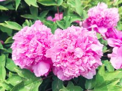 -大钟寺古钟博物馆