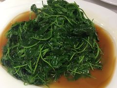 -苔圣园酒家(尊木汇国际艺术广场店)